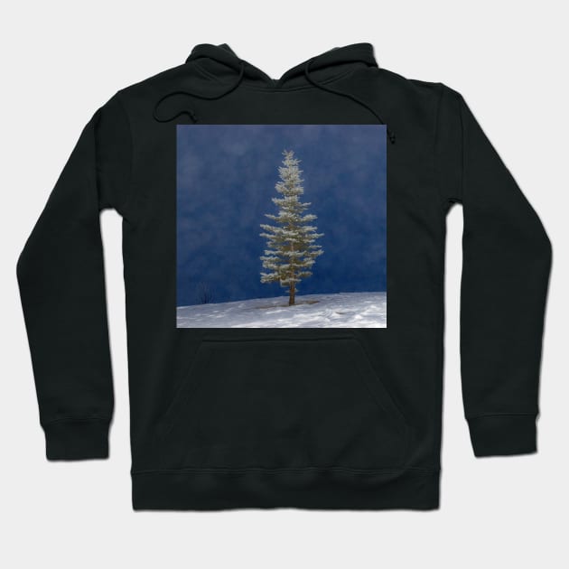 The Lone Pine on a fog filled winter day. Hoodie by CanadianWild418